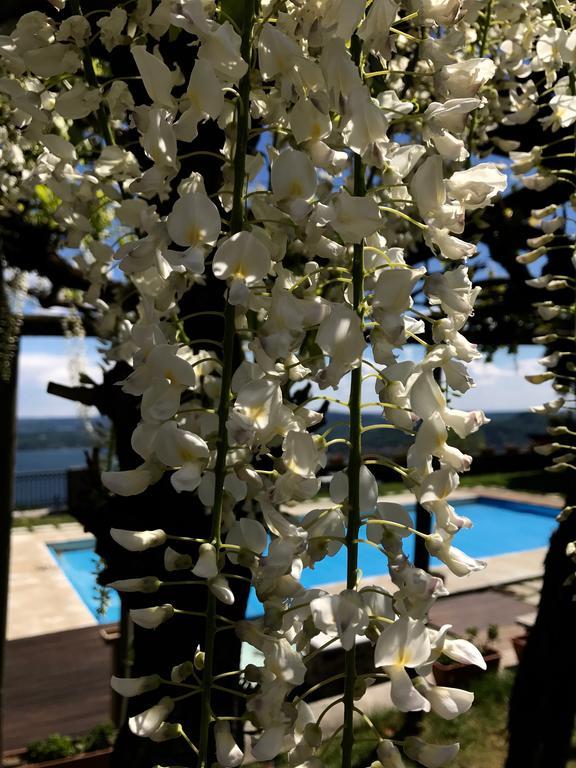 Casamariuccia Guest House Massino Visconti Екстериор снимка
