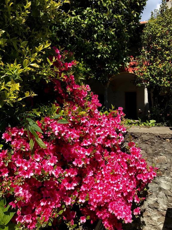 Casamariuccia Guest House Massino Visconti Екстериор снимка