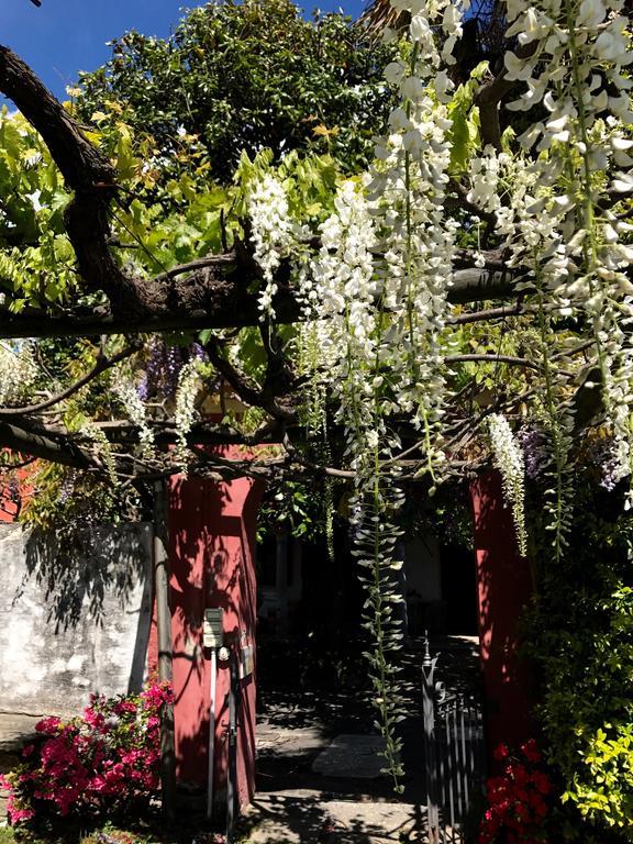 Casamariuccia Guest House Massino Visconti Екстериор снимка